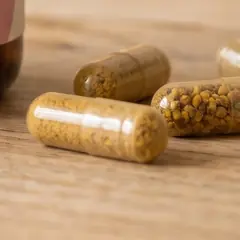 Cápsulas vegetales llenas de polen de abejas